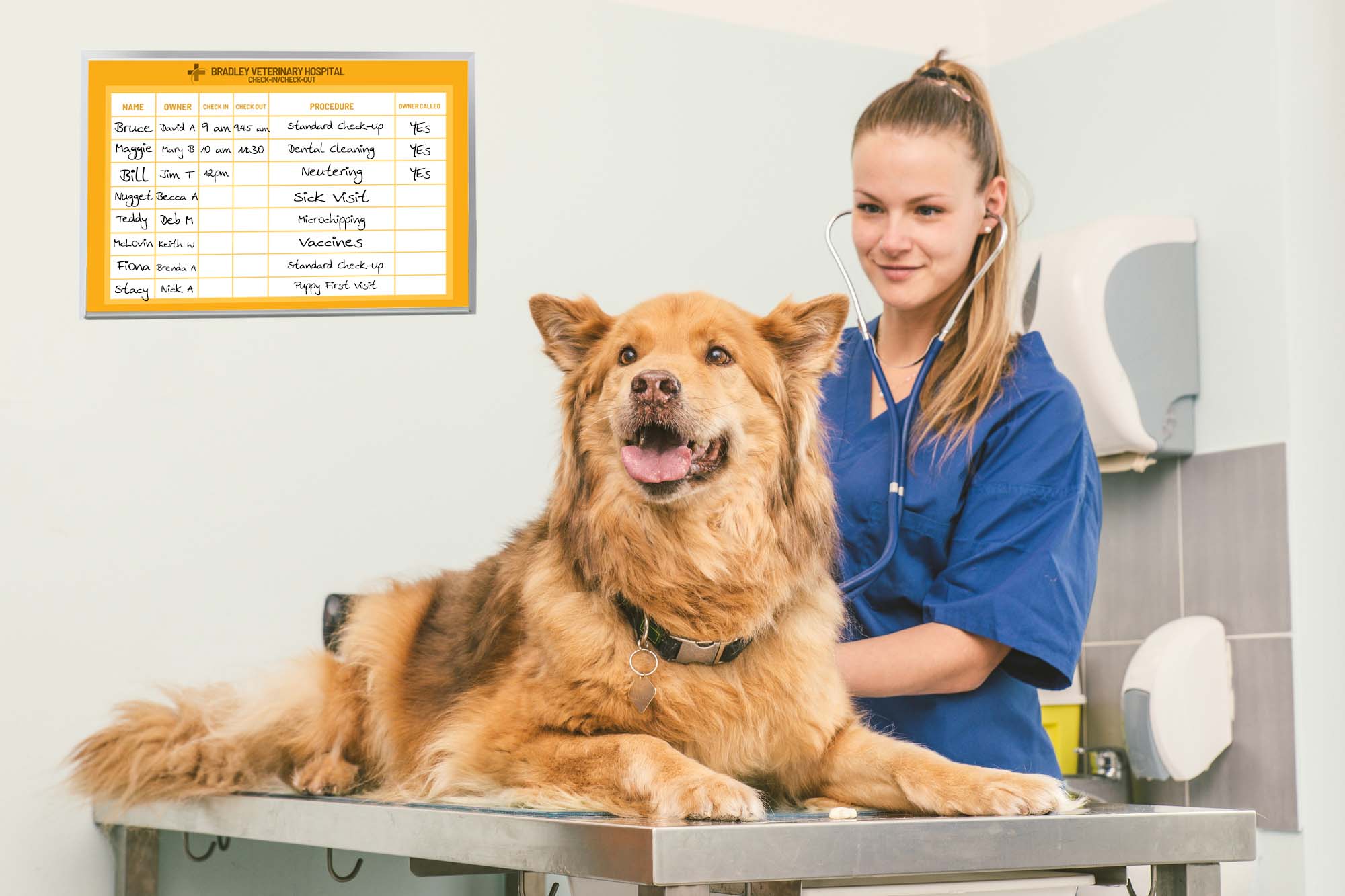 Veterinary Care Aided by Custom Dry Erase